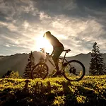 Daire Appartementhaus Gastein Inklusive Alpentherme Gratis