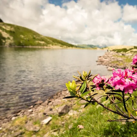 Appartementhaus Gastein Inklusive Alpentherme Gratis * 배드호프가스타인
