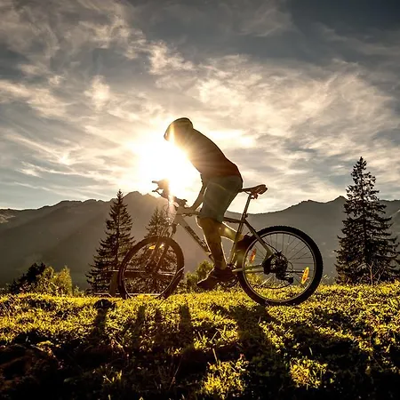 Apartamento Appartementhaus Gastein Inklusive Alpentherme Gratis