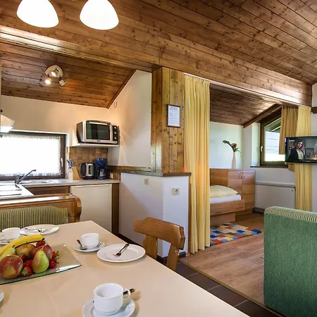 Appartementhaus Gastein Inklusive Alpentherme Gratis Daire Bad Hofgastein
