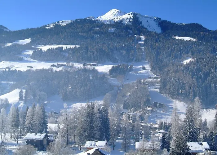 Appartementhaus Gastein Inklusive Alpentherme Gratis バート・ホーフガシュタイン